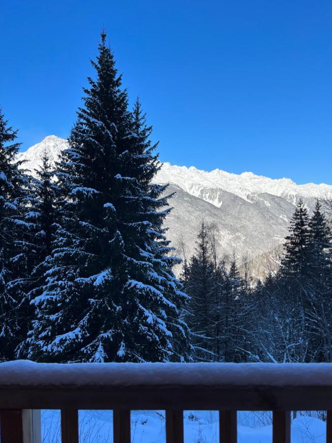 Oz En Oisans Station - Alpe D'huez *